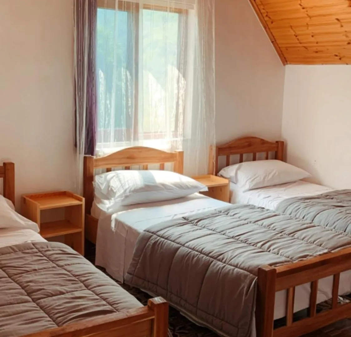 Bujtina Kometa Otel Theth Konukevi