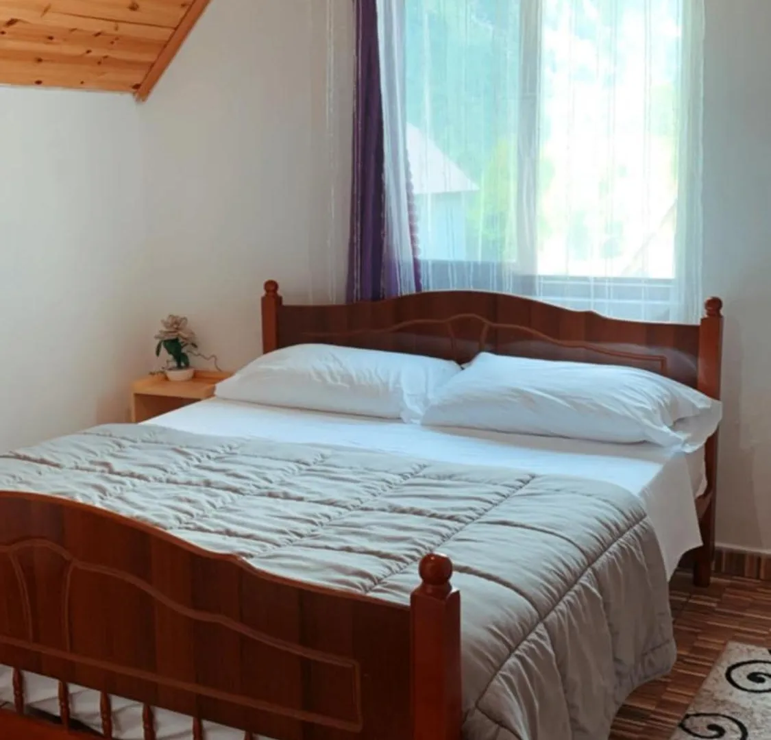 Bujtina Kometa Hotel Theth Guest house